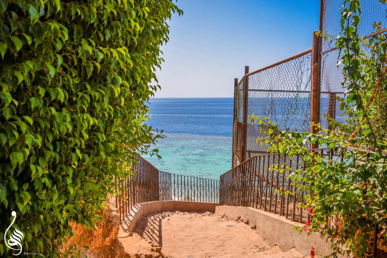 Dive Inn Resort Шарм ел-Шейх Екстериор снимка